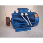 37 KW  3000 RPM As 55 mm  ROTOR  Gebruikt